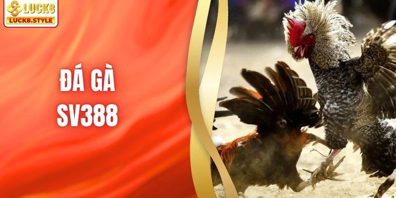 Đá Gà SV388 - Trải Nghiệm Những Trận Đấu Full HD Tại LUCK8