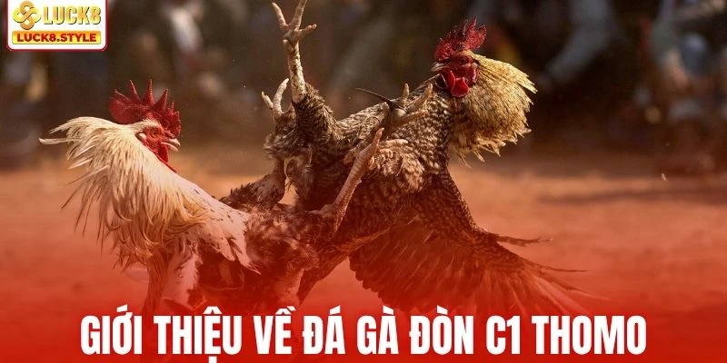 Khái quát sơ lược về đá gà đòn C1 Thomo