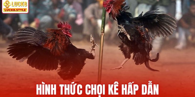 Những hình thức chọi kê được yêu thích